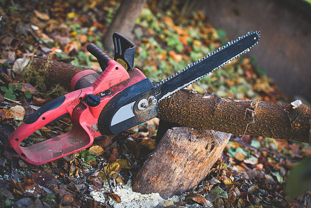 Leaf Removal